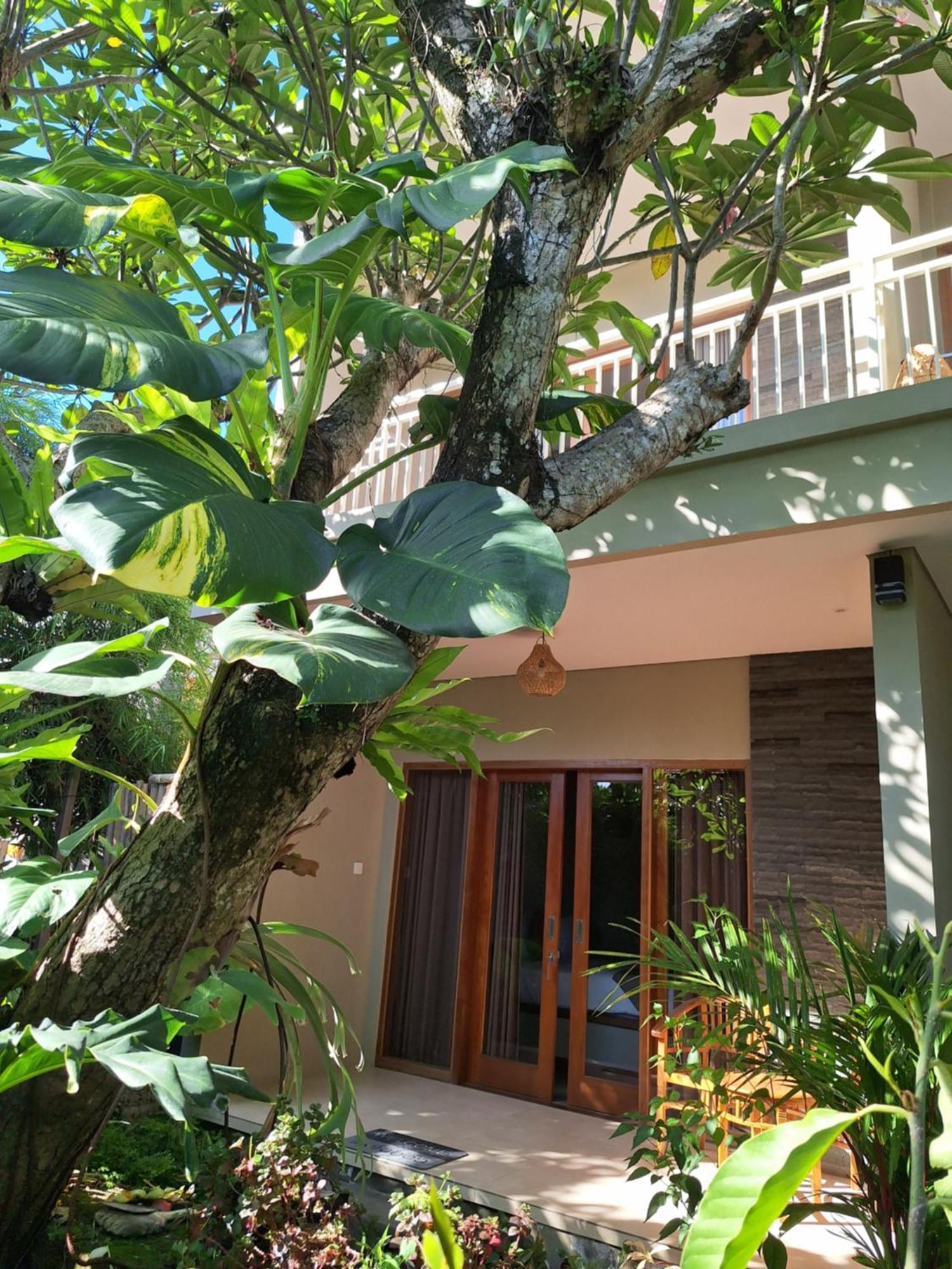 Kasapa Inn 乌布 外观 照片