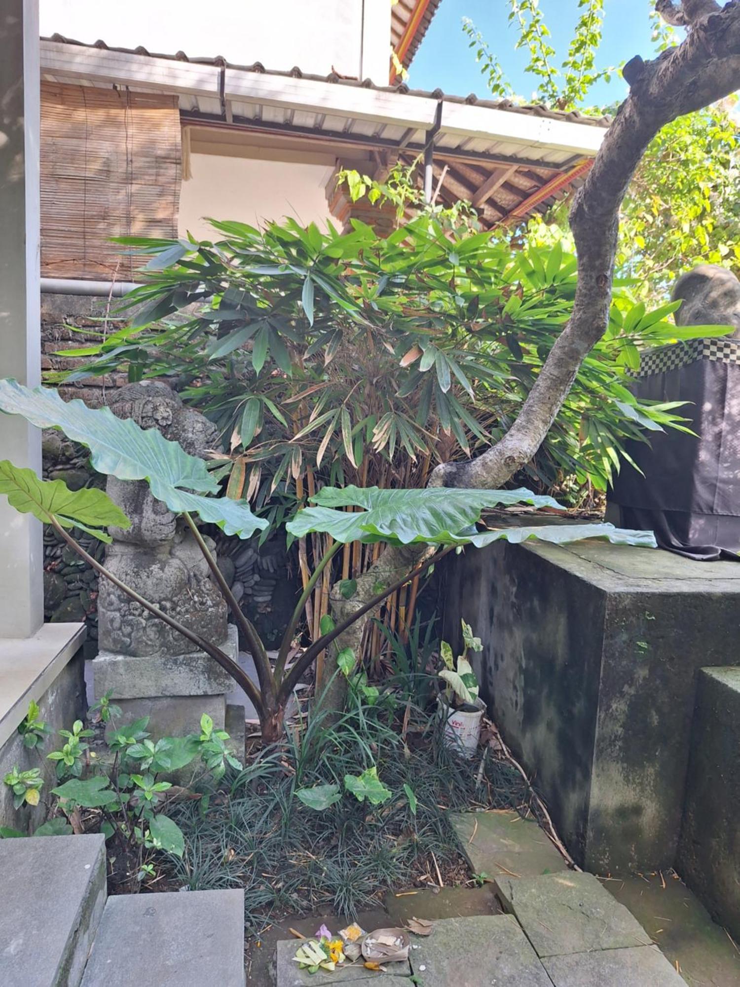 Kasapa Inn 乌布 外观 照片